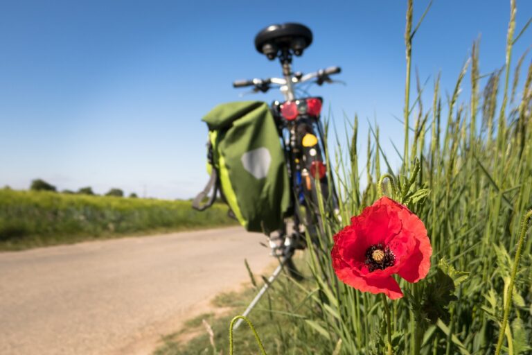 Land fördert Rad- und Fußverkehrsprojekte im Kreis Rottweil